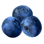 Boisson énergisante Blueberry Bolt