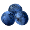 BLUE Nitro Blueberry / PD200 (40 Port.)