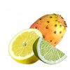 Citrus Craze 6er-Pack